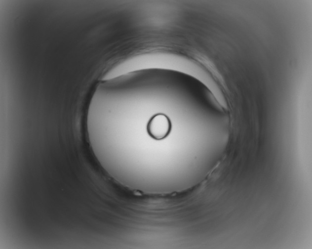 X0000088710154200706282050