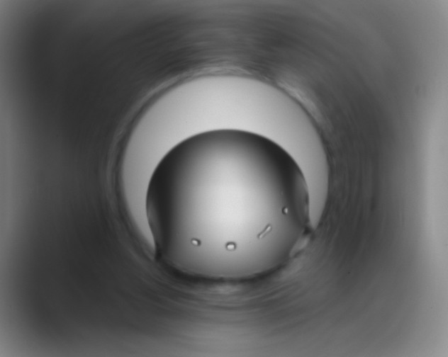 X0000088710156200706282050