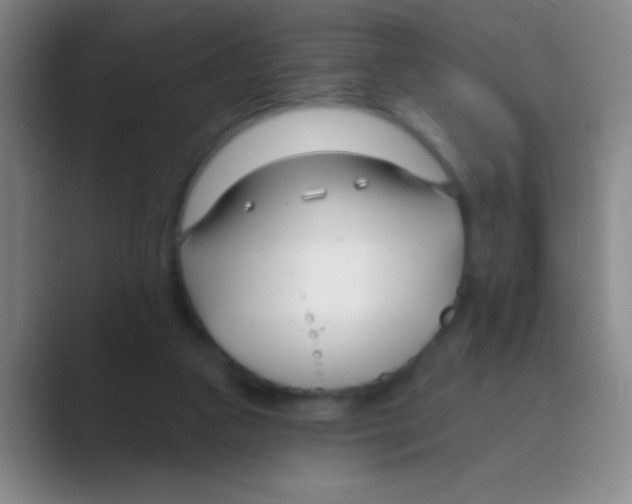 X0000088710161200706282050