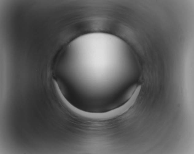 X0000088710164200706282050