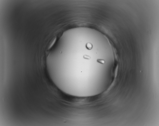 X0000088710170200706282051