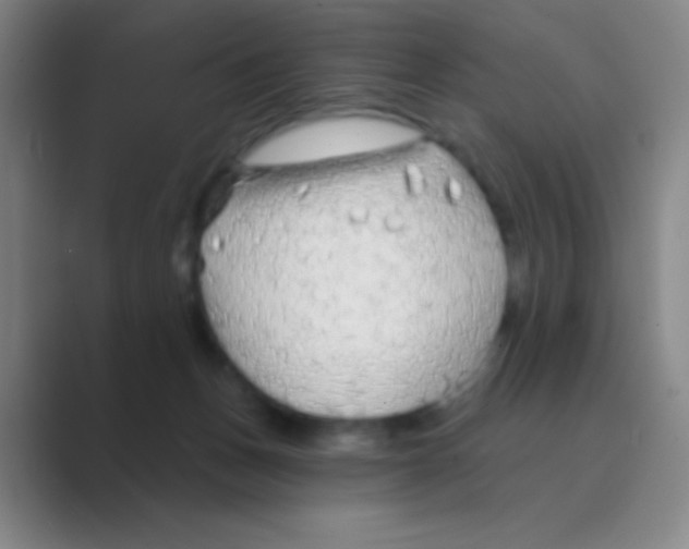 X0000088710175200706282051