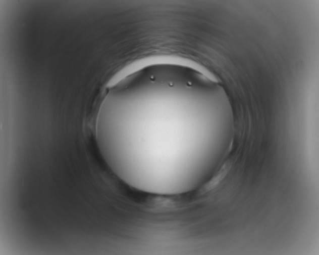 X0000088710180200706282051