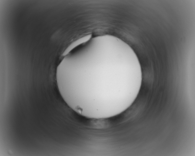 X0000088710181200706282051