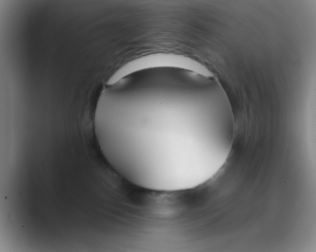 X0000088710186200706282051