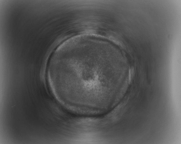 X0000088710195200706282050