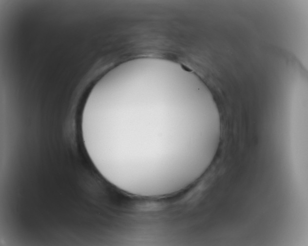 X0000088710198200706282050