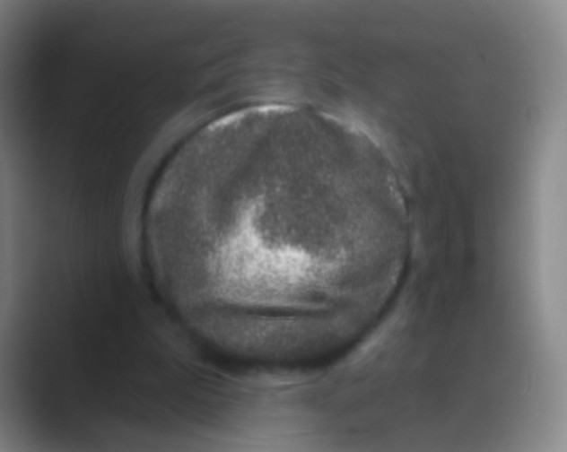 X0000088710199200706282050