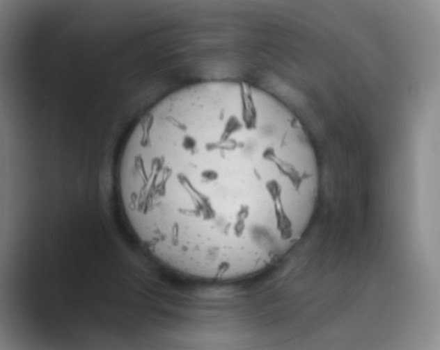X0000088710202200706282050