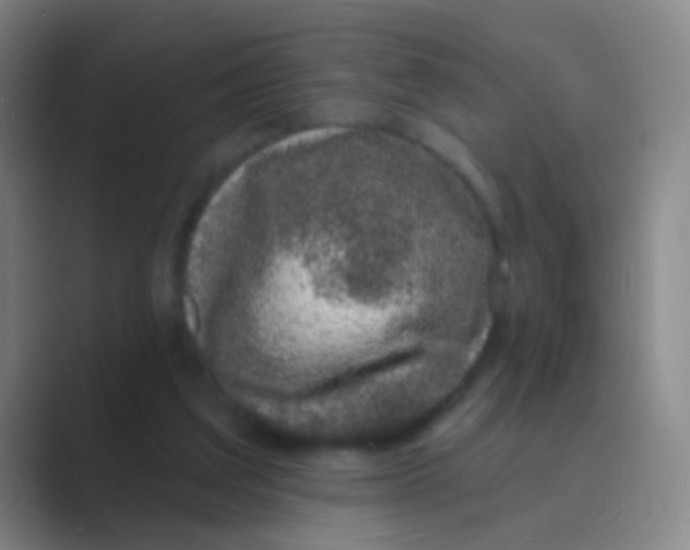 X0000088710203200706282050