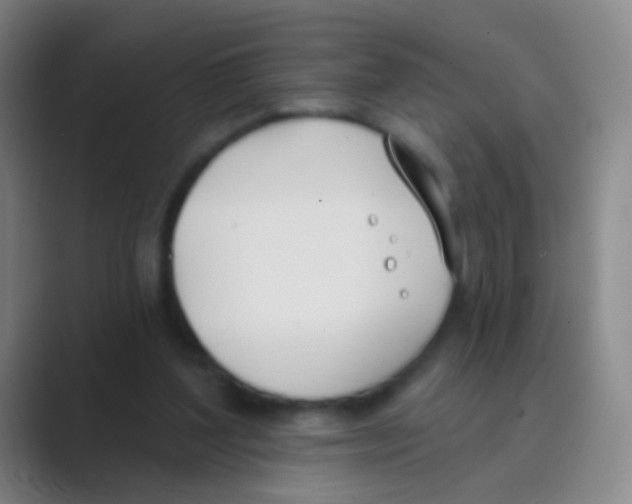 X0000088710204200706282050