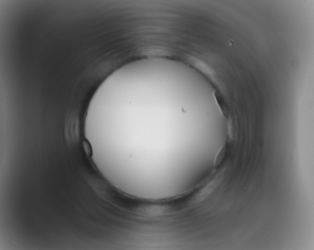 X0000088710205200706282050