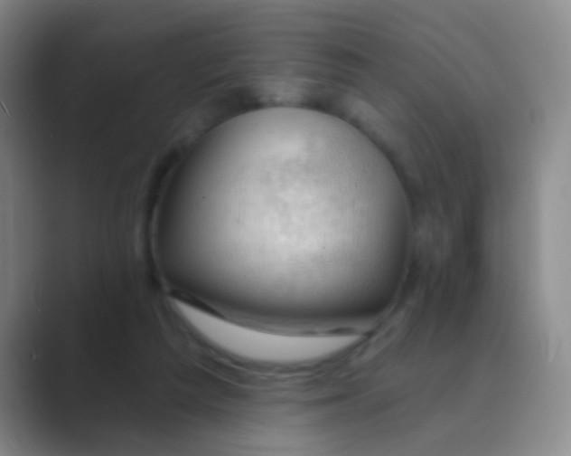 X0000088710209200706282050