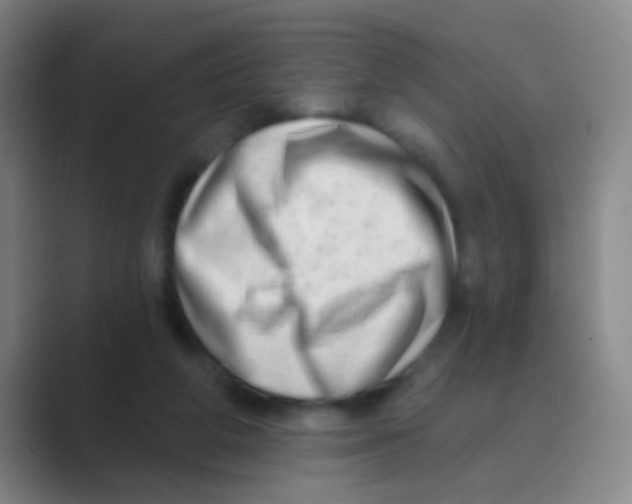 X0000088710210200706282050