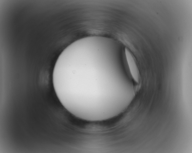 X0000088710211200706282050