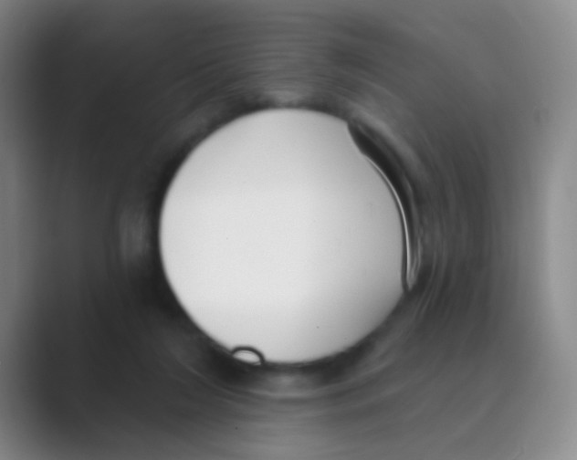 X0000088710212200706282050