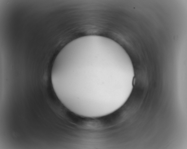 X0000088710215200706282050