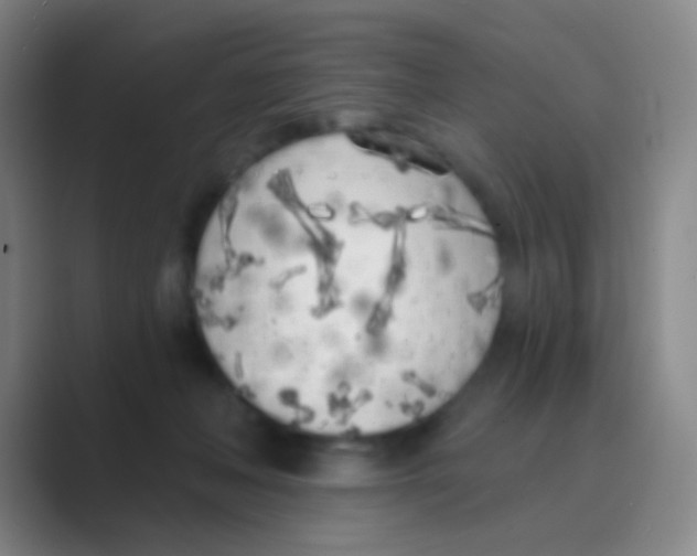 X0000088710222200706282050