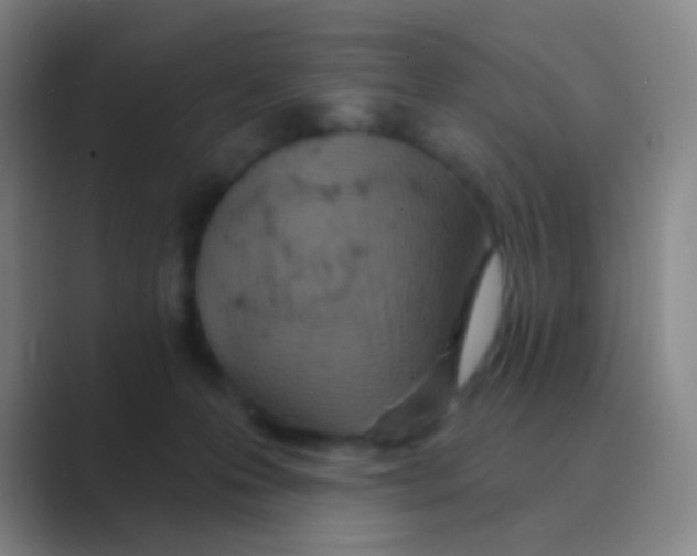 X0000088710223200706282050