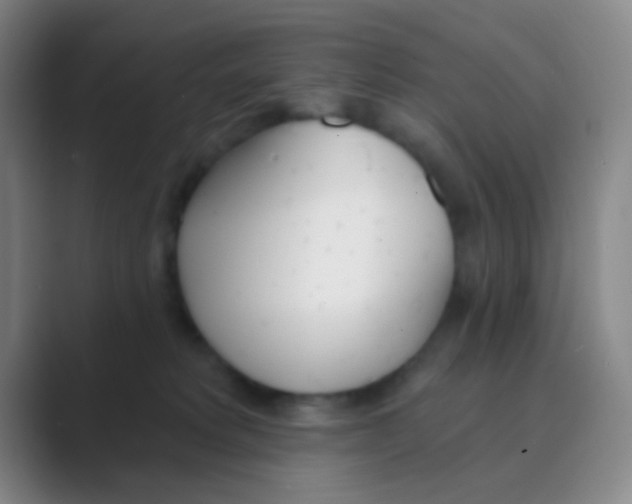 X0000088710229200706282050