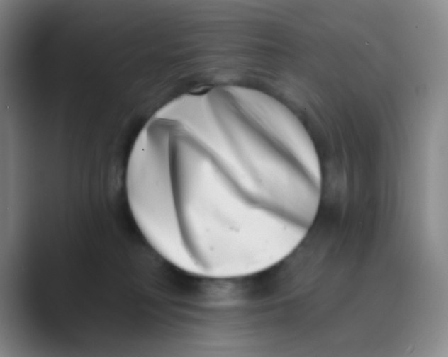 X0000088710230200706282050