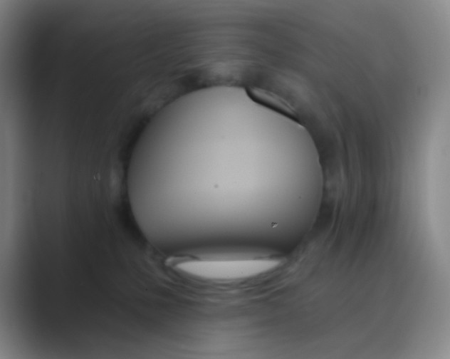 X0000088710231200706282050