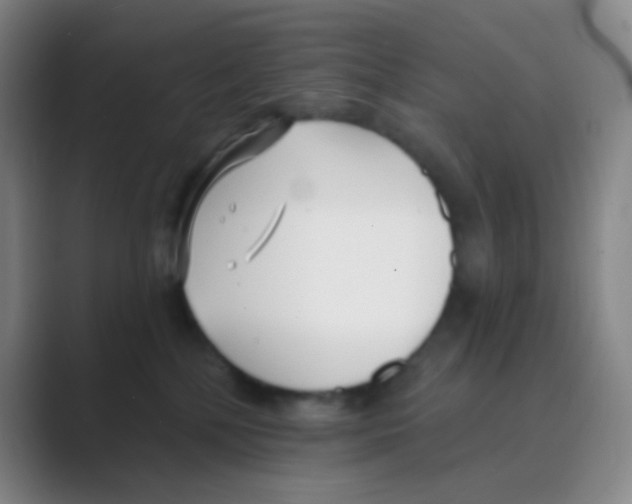 X0000088710232200706282050