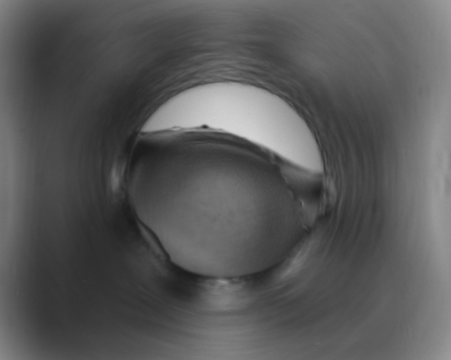 X0000088710239200706282050