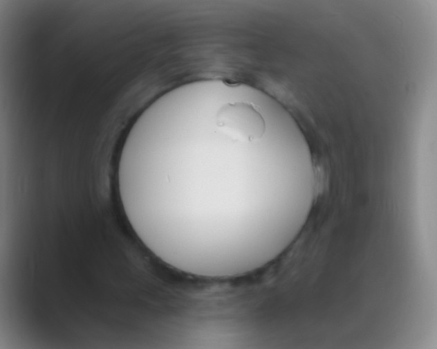 X0000088710243200706282049