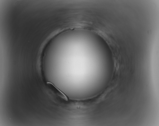 X0000088710244200706282049