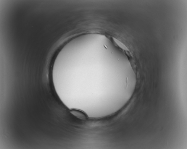 X0000088710246200706282049