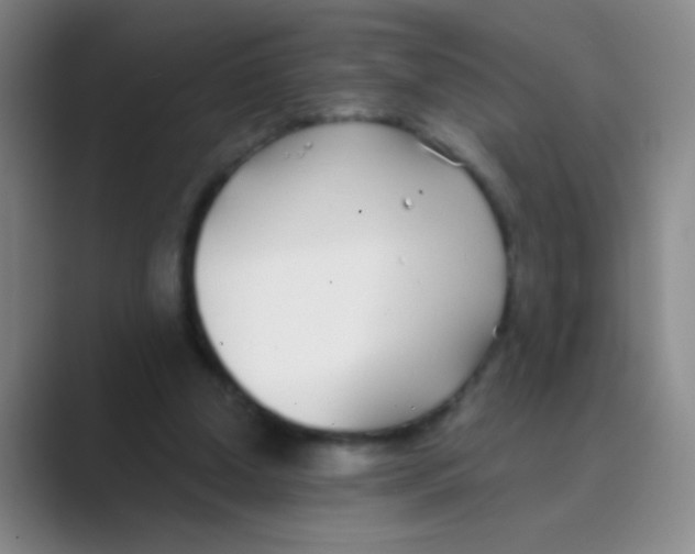 X0000088710250200706282049