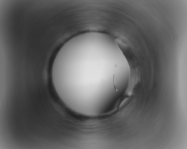 X0000088710252200706282049