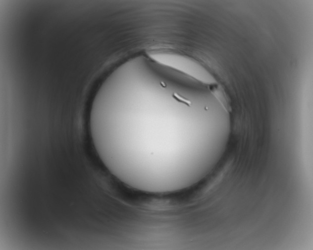 X0000088710256200706282049