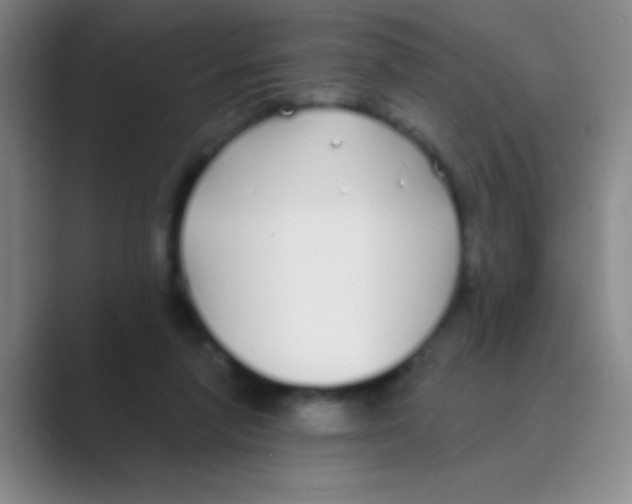 X0000088710258200706282049