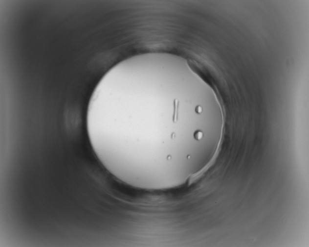 X0000088710260200706282049