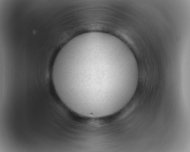 X0000088710261200706282049