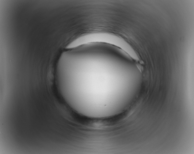 X0000088710264200706282049