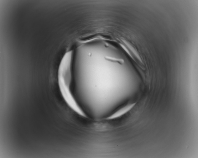 X0000088710272200706282049