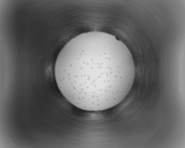 X0000088710286200706282050