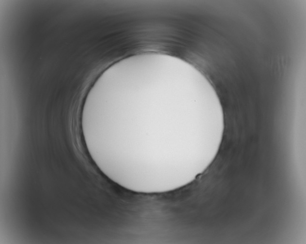 X0000088710289200706282049