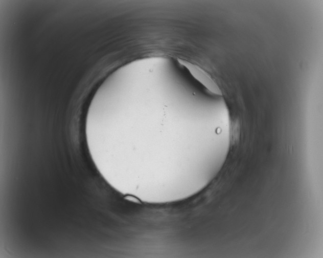 X0000088710291200706282049