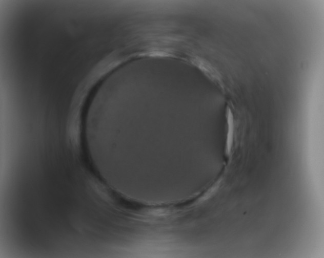 X0000088710295200706282049