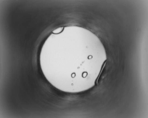 X0000088710296200706282049