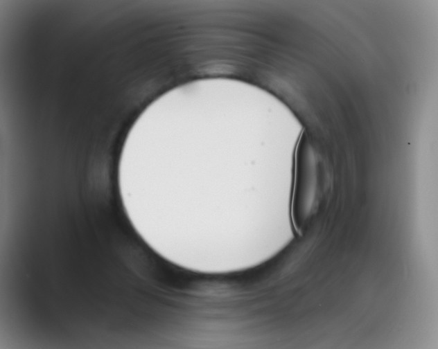 X0000088710300200706282049