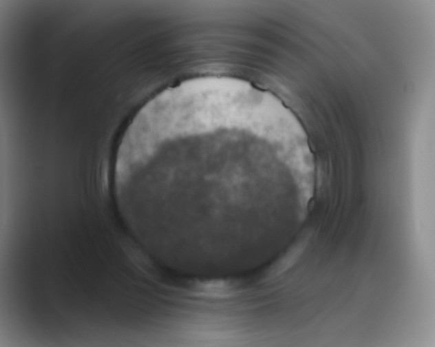 X0000088710301200706282049