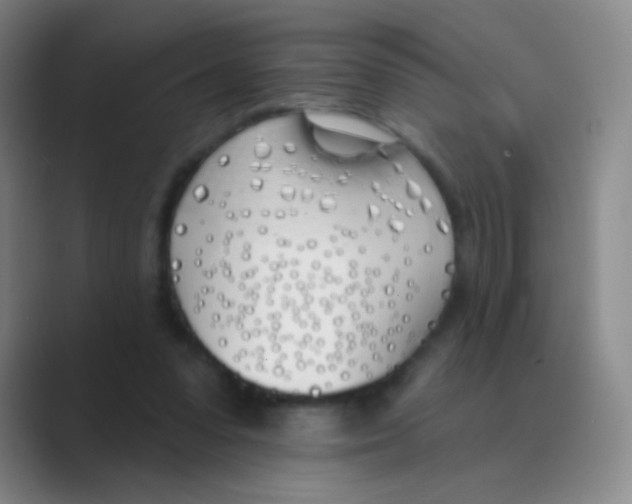 X0000088710303200706282049