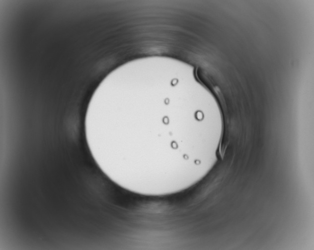 X0000088710304200706282049