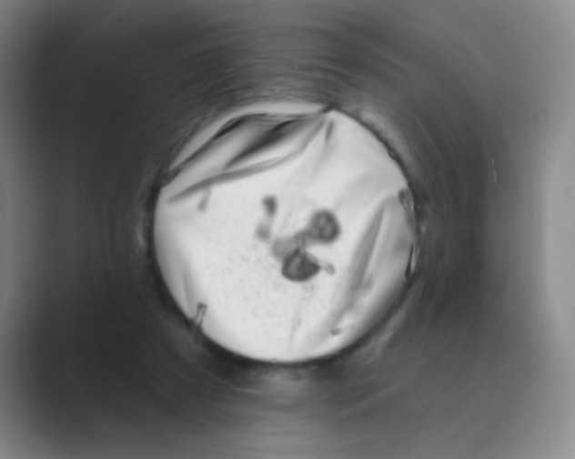 X0000088710305200706282049