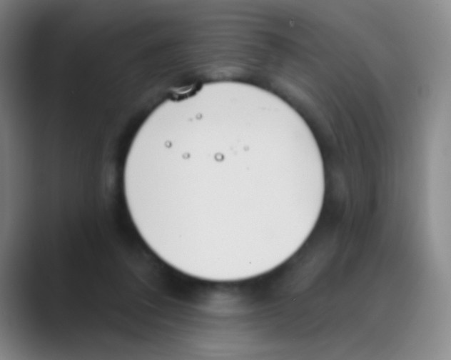 X0000088710308200706282049